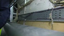 The Palace of Westminster is at risk of a 'catastrophic event' if major repairs are not carried out on the crumbling building News Clip