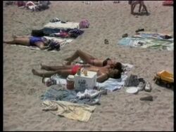 RR0220/C  USA: Shark Attacks News Clip