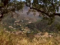 View Mount Bermeja Through Cork Trees, Spain Stock Footage