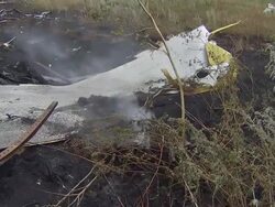 MH17 Crash Site Plane Parts in Field News Clip