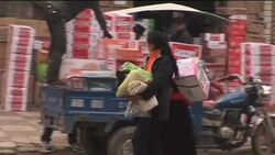 Security in front of school, scene of recent protests by Tibetan students Instructional Video
