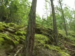 Cable cam of a mountain biker Stock Footage