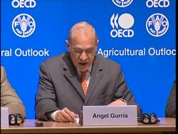 Food prices rise throughout Europe, OECD meets News Clip