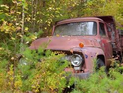 MS Shot of foliage old ancient pick up truck in fall leaves in Northern New England fall foliage leaf peeping October / Bethel, Maine, United States Stock Footage