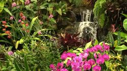 Waterfall in Orchid garden Stock Footage