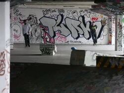 Skateboarding's South Bank Home Under Threat Stock Footage