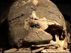 Ancient Chilean Mummies go on display Instructional Video