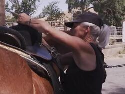 Karen adjusts saddle on horse's back Stock Footage