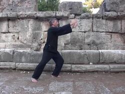 end of tai chi form Stock Footage