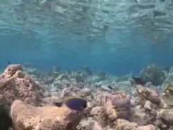 Dappled light over Vaavu Atoll, The Maldives Stock Footage