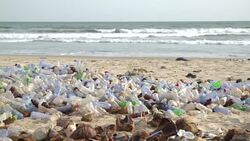 polluted beach with plastic bottles Stock Footage