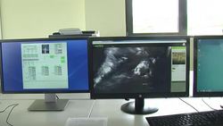 CLEAN : Gabon invests in satellites to save rainforest News Clip