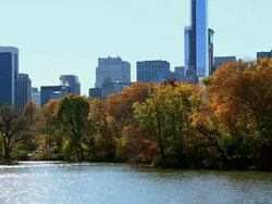 MS PAN Shot of autumn color trees and Manhattan skyline and Lake which illuminated by sun / New York, United states Stock Footage