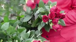 VOICED : Las flores de San Valentin News Clip