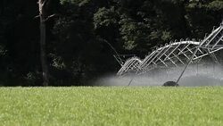 pivot irrigation Stock Footage