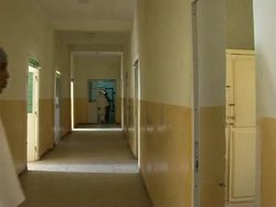 Expat Somalis bring their skills home News Clip