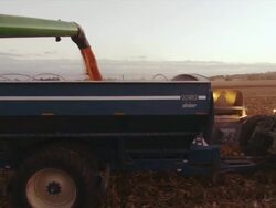 The auger from a combine empties corn into a wagon as both drive down the field harvesting with lights on in the early evening. Stock Footage