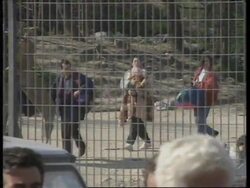 GREECE/ALBANIA: ALBANIANS CROSS BORDER FEARING OUTBREAK OF CIVIL WAR News Clip