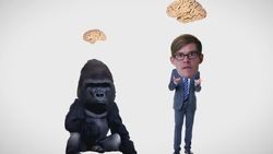 Why Do We Cook? Instructional Video