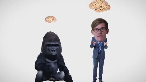 Why Do We Cook?