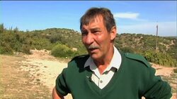 A double litter of cheetah cubs boosts conservation hopes News Clip