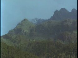 WA view across forested mountain range, Uganda, Africa Stock Footage