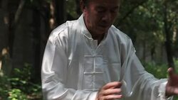 old man practice tai chi in the park Stock Footage