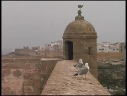 Seagulls Sit On Castle Wall And Turret Stock Footage