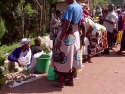 MS Shot of people walking through outdoor marketplace / bwindi, kabale, uganda Stock Footage