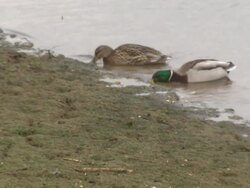 Environment Secretary to Hold Drought Summit News Clip