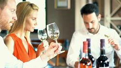 Wine tasting. Stock Footage