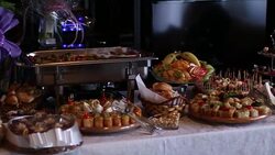 Cattering Stock Footage