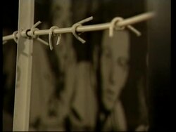 Italian deputy PM condemns country's fascist past News Clip