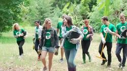 Environmentalist volunteers planting trees Stock Footage