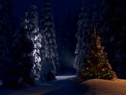HD LOOP: Ornamented Christmas Tree Stock Footage