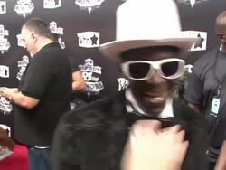 2009 VH1 Hip Hop Honors - Red Carpet Stock Footage