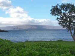 Maui Stock Footage