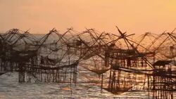 The square fishnet made of bamboo Stock Footage