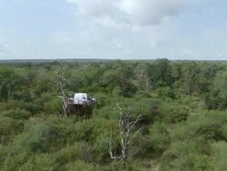 WS AERIAL View of treehouse in bushes / Mpumalanga, South Africa Stock Footage