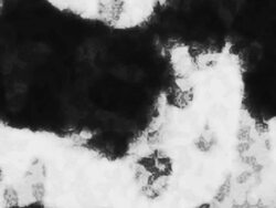 Rorschach Ink Blots Stock Footage