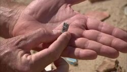 A hand holds a tiny piece of ancient pottery. Stock Footage