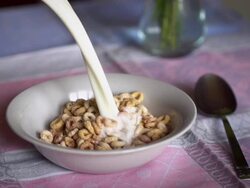 SLOW MOTION: Pouring Milk onto Cereal Stock Footage