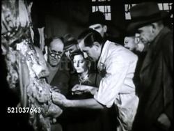 MOT 1948: WORLD FOOD COUNCIL CONFERENCE: ANIMAL DISEASES: FAO (United Nations Food & Agriculture Organization) representatives showing bovine care w/ cow, examples of diseased beef meat, making vaccine, VS People watching demonstrations. Instructional Video