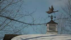Weather vane in winter Stock Footage