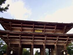 MS View of nandaimon gate of the todai-ji temple at evening / Nara, Kansai, Japan   Stock Footage