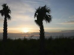 Myrtle Beach Stock Footage