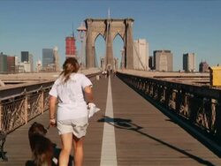 Woman and dog jogging across the Brooklyn Bridge spanning the East River between Brooklyn and Manhattan. Travel destination  Stock Footage
