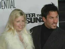 'After The Sunset' Premiere Stock Footage