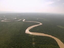 "Beautiful aerial shot of Malaysian rainforest, brown river snakes through" Stock Footage