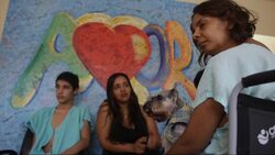 Perros ofrecen terapia en hospital brasileÃƒÂ±o Instructional Video